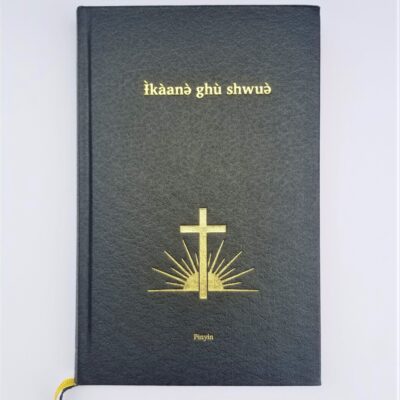 Pinyin Bible